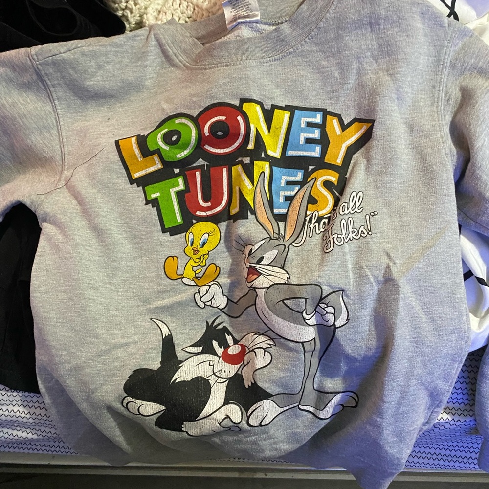 small looney tunes sweatshirt!
